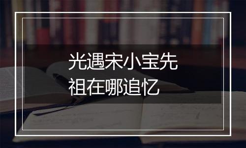 光遇宋小宝先祖在哪追忆