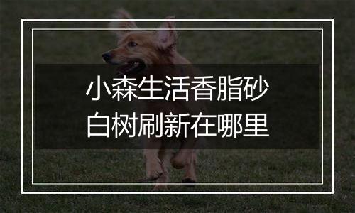 小森生活香脂砂白树刷新在哪里