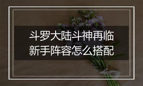斗罗大陆斗神再临新手阵容怎么搭配