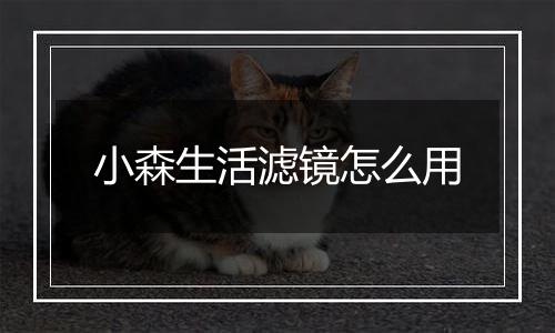 小森生活滤镜怎么用