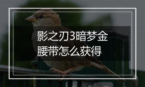 影之刃3暗梦金腰带怎么获得