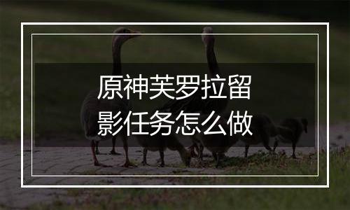 原神芙罗拉留影任务怎么做