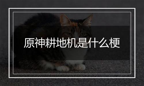 原神耕地机是什么梗