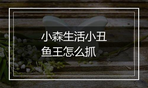小森生活小丑鱼王怎么抓