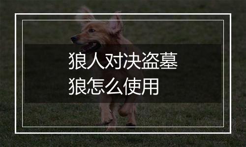狼人对决盗墓狼怎么使用
