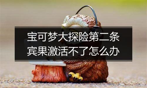 宝可梦大探险第二条宾果激活不了怎么办