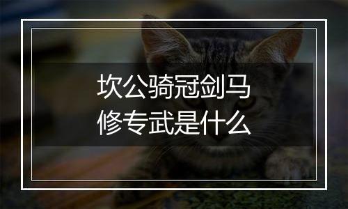 坎公骑冠剑马修专武是什么