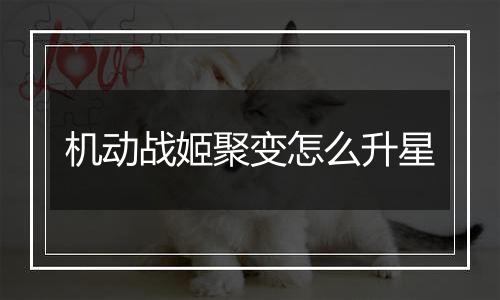 机动战姬聚变怎么升星