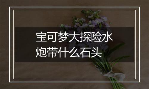 宝可梦大探险水炮带什么石头