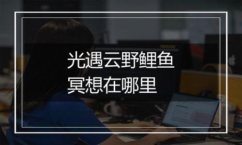 光遇云野鲤鱼冥想在哪里
