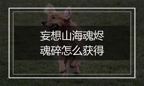 妄想山海魂烬魂碎怎么获得