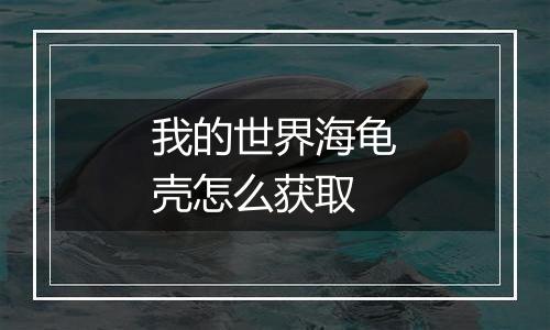 我的世界海龟壳怎么获取