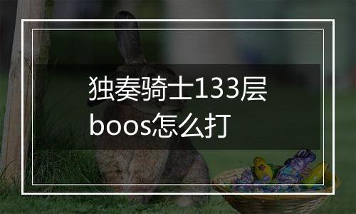 独奏骑士133层boos怎么打