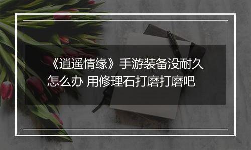 《逍遥情缘》手游装备没耐久怎么办 用修理石打磨打磨吧
