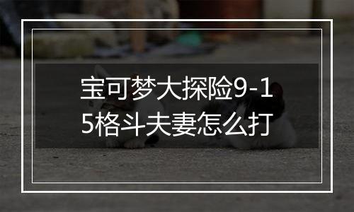 宝可梦大探险9-15格斗夫妻怎么打