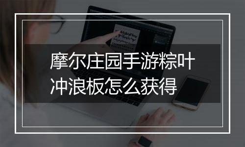 摩尔庄园手游粽叶冲浪板怎么获得