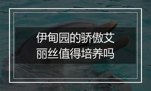 伊甸园的骄傲艾丽丝值得培养吗