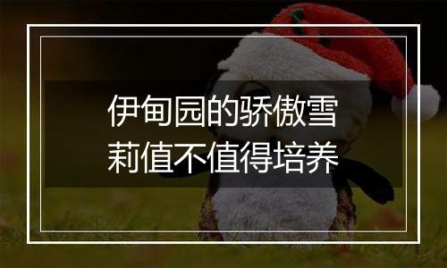 伊甸园的骄傲雪莉值不值得培养