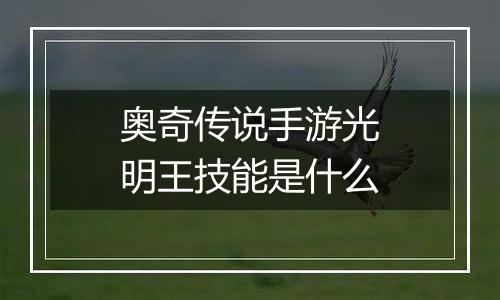 奥奇传说手游光明王技能是什么