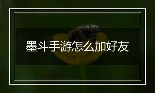 墨斗手游怎么加好友