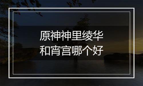 原神神里绫华和宵宫哪个好