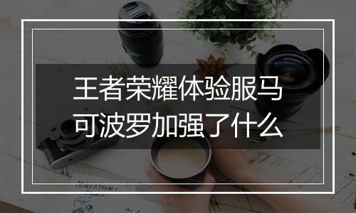 王者荣耀体验服马可波罗加强了什么