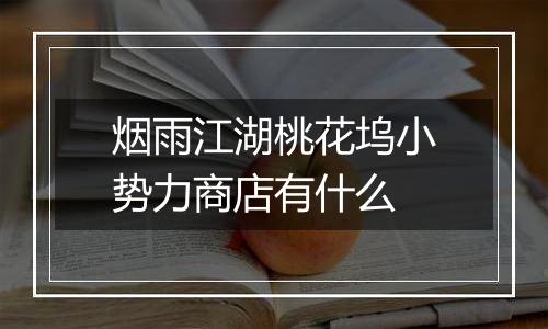 烟雨江湖桃花坞小势力商店有什么