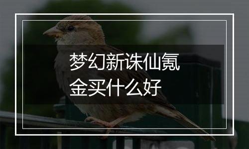 梦幻新诛仙氪金买什么好
