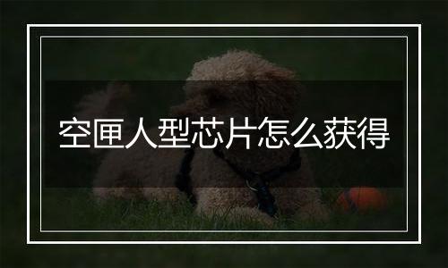 空匣人型芯片怎么获得