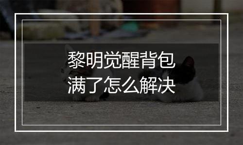 黎明觉醒背包满了怎么解决