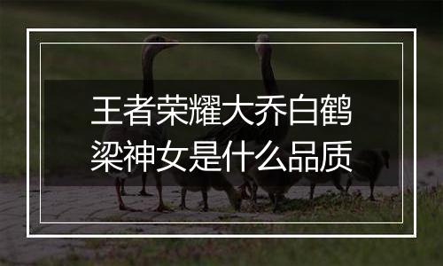 王者荣耀大乔白鹤梁神女是什么品质