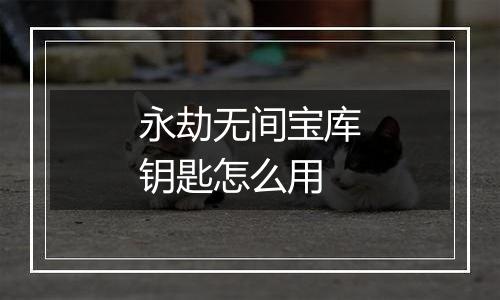 永劫无间宝库钥匙怎么用