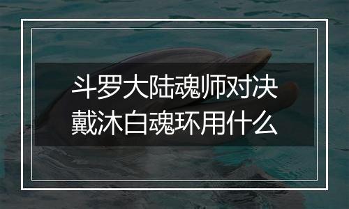 斗罗大陆魂师对决戴沐白魂环用什么
