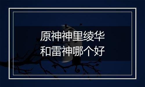 原神神里绫华和雷神哪个好
