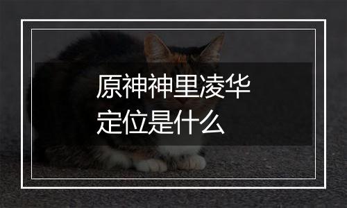 原神神里凌华定位是什么