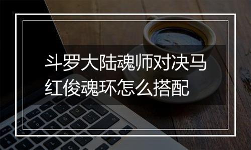 斗罗大陆魂师对决马红俊魂环怎么搭配