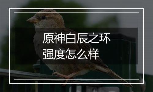 原神白辰之环强度怎么样