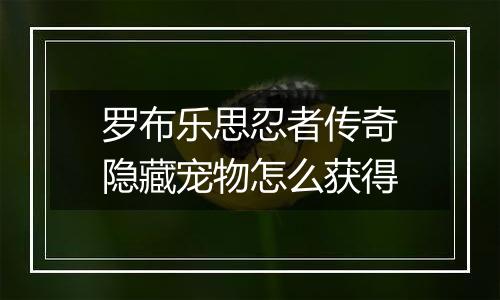 罗布乐思忍者传奇隐藏宠物怎么获得