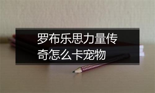 罗布乐思力量传奇怎么卡宠物