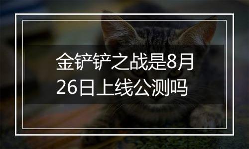 金铲铲之战是8月26日上线公测吗