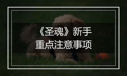 《圣魂》新手重点注意事项