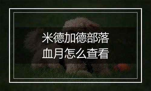 米德加德部落血月怎么查看
