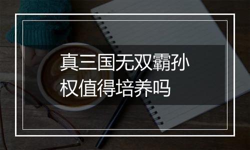 真三国无双霸孙权值得培养吗