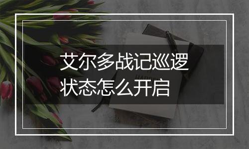 艾尔多战记巡逻状态怎么开启