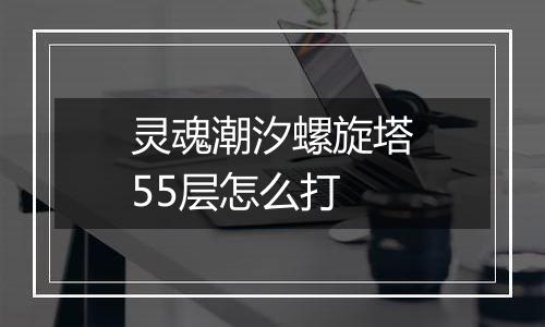 灵魂潮汐螺旋塔55层怎么打