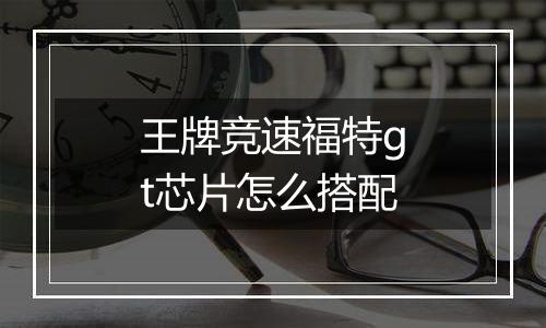 王牌竞速福特gt芯片怎么搭配