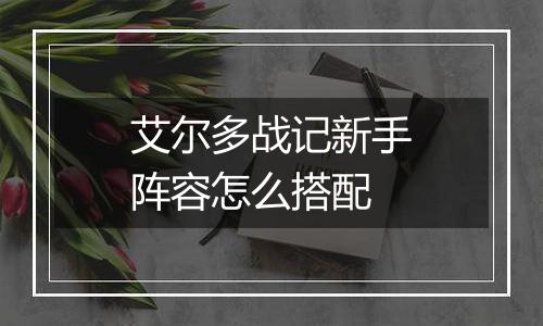 艾尔多战记新手阵容怎么搭配
