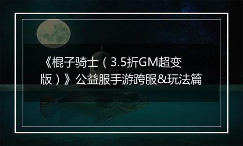 《棍子骑士（3.5折GM超变版）》公益服手游跨服&玩法篇