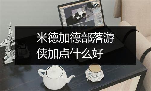 米德加德部落游侠加点什么好