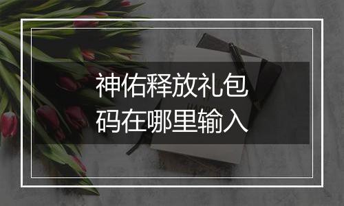 神佑释放礼包码在哪里输入